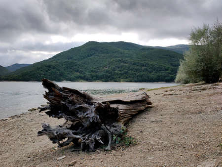 The path of saint jacob to spain, a large fallen tree on the shore of a mountain lakeの写真素材