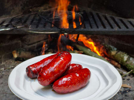 baked sausages on fire on the background of a campfire, peknik in natureの写真素材