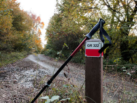 a fork in a forest hiking trail, a pole indicating the way, and a cane supported on itの写真素材