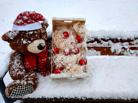 Christmas teddy bear in a santa hat on the snowの写真素材