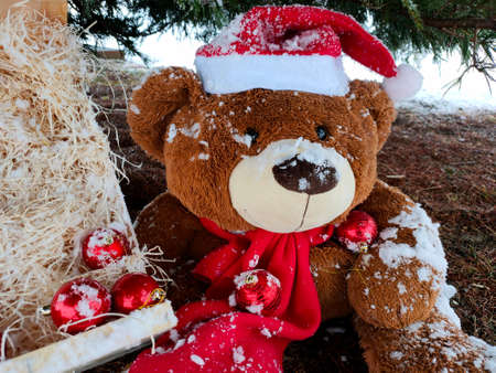 Christmas teddy bear sitting under the treeの写真素材