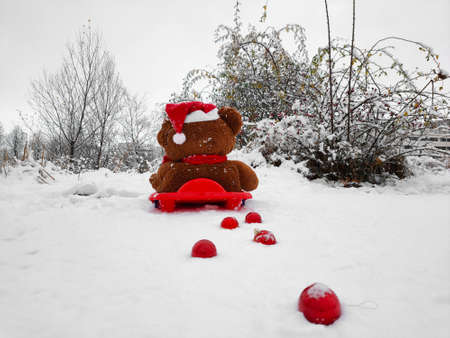 teddy bear sledding, throwing Christmas decorations in the snowの写真素材
