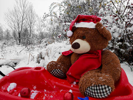 teddy bear sits on a sled in winter wearing a santa claus hatの写真素材
