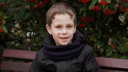 a blond boy with a birthmark on his face sits on a wooden bench against the background of rowan bushes, in late autumnの写真素材