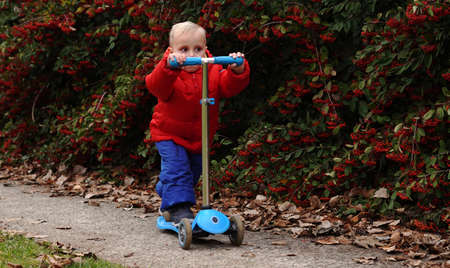 a small child, blond, rides a scooter in red clothes, against the background of rowan bushesの写真素材