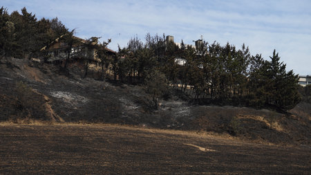 image of a house that miraculously survived a fire in the mountainsの写真素材