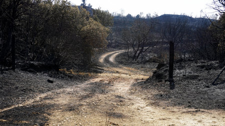 landscape of the highlands after the fireの写真素材