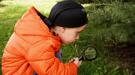 a child climbs under the tree with a magnifying glass in his hands to find the game container: geocachingの写真素材