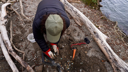 female archaeologist digs up a treasure trove of coins using a metal detector