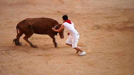 a man holds on to the horns of an angry bull. games with animals, on holidays.の写真素材