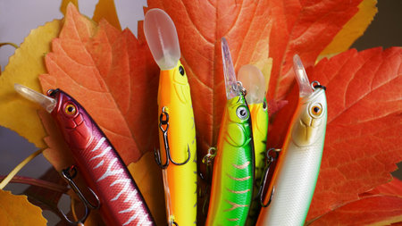 plastic fish bait: (wobbler), lie on autumn leaves. concept: selection of autumn baits for catching predatory fish. close-upの写真素材