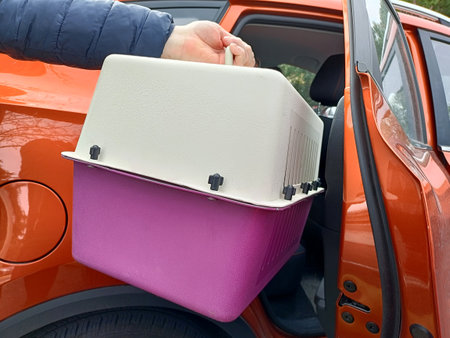 man places pet carrier cage in back seat of carの写真素材