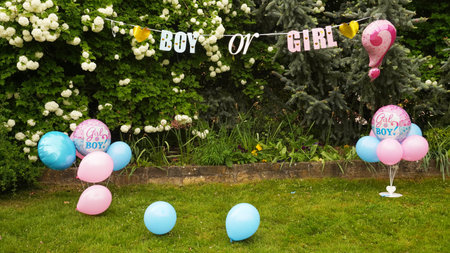 A photo zone for a gender reveal party in a park. The park is decorated with balloons, an outdoor celebration.の写真素材
