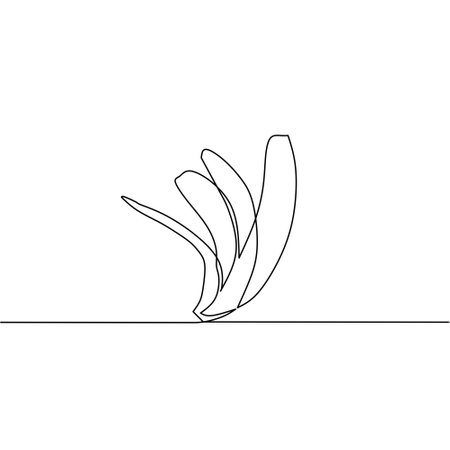 Continuous line drawing of banana, fruit design, object one line, single line art, vector illustrationのイラスト素材