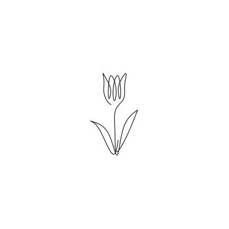 Continuous line drawing of tulip, flower design, object one line, single line art, vector illustrationのイラスト素材