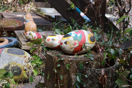 Sightseeing in Japan
 "Fukuneko Shrine" (Fukuneko Jinja)
cat stone in cat stone 
Hiroshima sightseeing spots in Japan
Senkoji Temple Sightseeingの写真素材