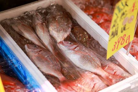 Japan Seafood Fish Market
japanese  seafood marketの写真素材