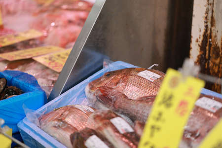 Japan Seafood Fish Market
japanese  seafood marketの写真素材