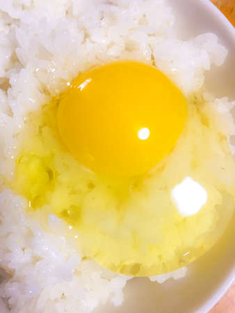 egg raise
Breakfast Egg Riceの写真素材