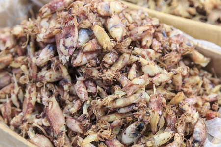 Dried Squid, traditional squids drying in the sun in a market Thailandの写真素材