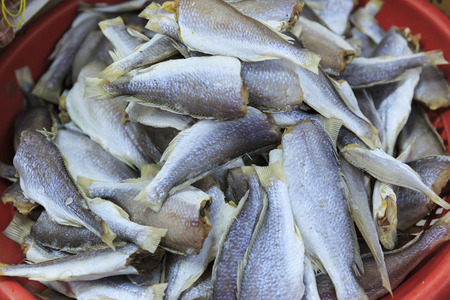 Dried fish in Thailandの写真素材