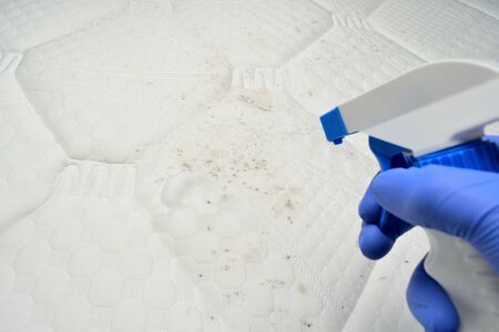 Foam mattress cleaner spray. Hand pulls a trigger. Cleaning a mattress cloth with a liquid stain remover. の写真素材