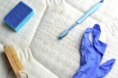 Removing mildew stains from the mattress`s surface. Brush, sponge, nitrile glove and tooth brush in the center. Fungus.の写真素材