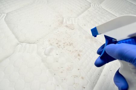 Removing mold with a Foam cleaner. Cleaning a mattress cloth with a liquid stain remover. Fungus, mildew or mould on the fabric.の写真素材