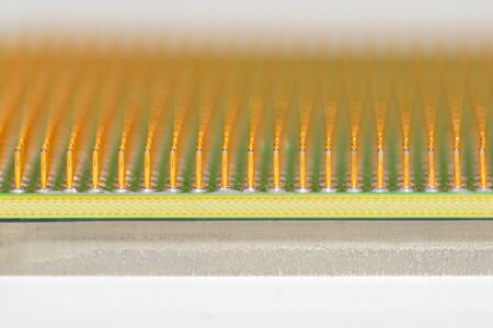 Golden pins of a core. Central processor unit. Shallow depth of field.