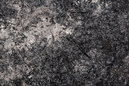 Ashy surface. Texture of burnt grass. Overal view.の写真素材