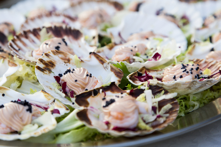 Close up view of oysters mousse inside the shellの写真素材