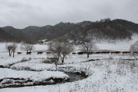 Walking in the vast expanse of landの写真素材