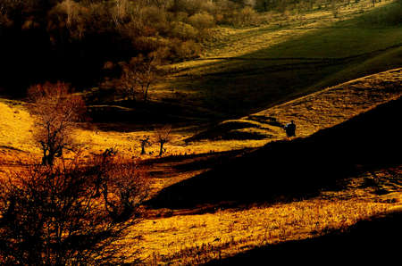Golden autumn dayの写真素材