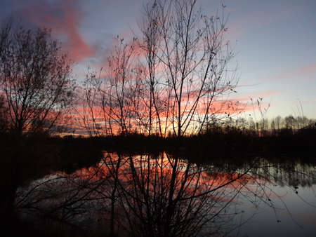 beautiful sunset on the lake, trees and clouds reflected in waterの写真素材