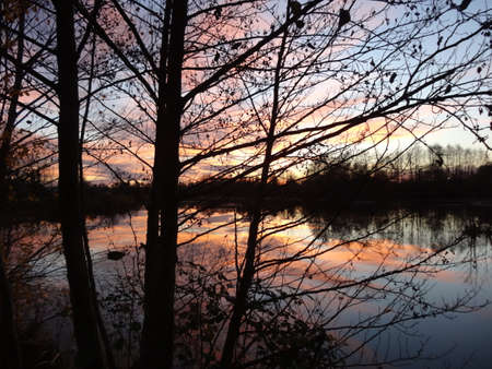 Sunset on the river. The trees are reflected in the water.の写真素材