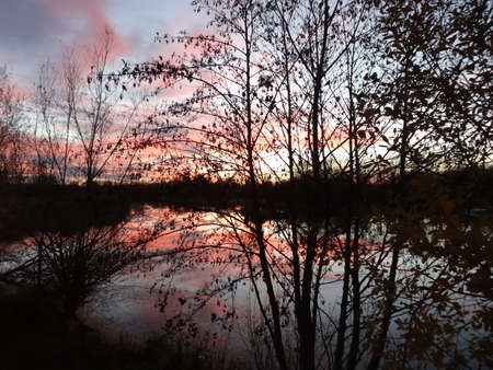 Beautiful sunset over the river, trees and clouds reflected in waterの写真素材