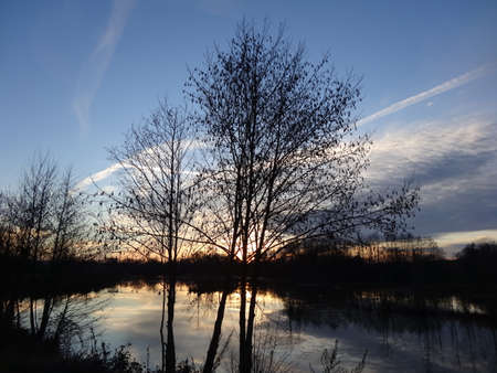 Sunset over a river with bare trees silhouetted against the blue skyの写真素材