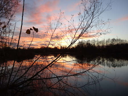 Sunset on the river in the autumn. Sunset on the river.の写真素材