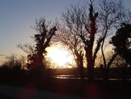 Sunset over the river in the winter. The sun behind the trees.の写真素材