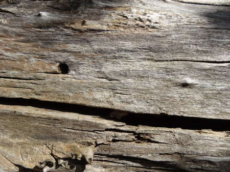 Old wood texture with natural patterns. Abstract background and texture for design.の写真素材