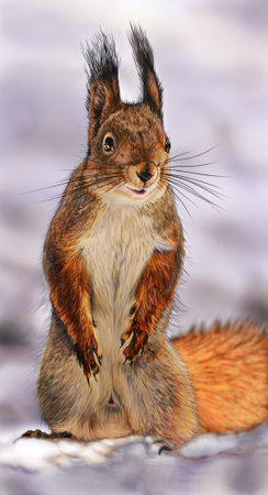 Eurasian red squirrel (Sciurus vulgaris) sitting on snowの写真素材