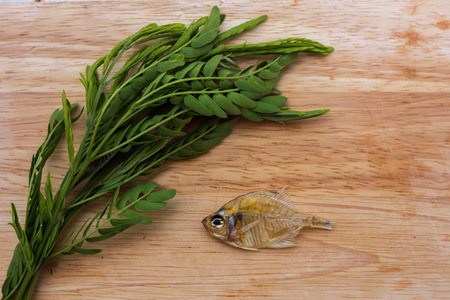 Food fishの写真素材