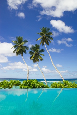 Three coconut palm trees by swimming pool side with beautiful background of blue sky with cloudsの写真素材