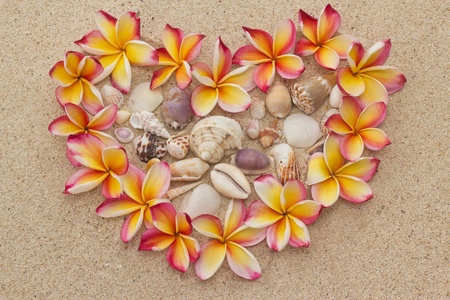 Group of frangipani, plumeria flowers in shape of heart with saw shells, on sand の写真素材