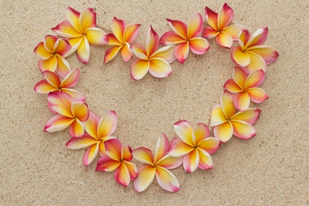 Group of frangipani, plumeria flowers in shape of heart, on sand の写真素材
