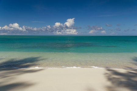 Tropical sandy beach at summer sunny day with palm tree shadows の写真素材