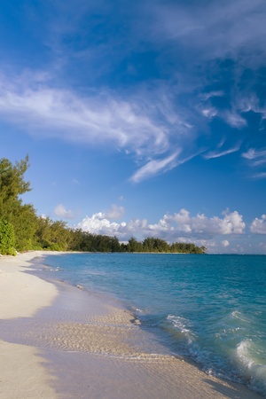 Beautiful tropical beach with palm treesの写真素材