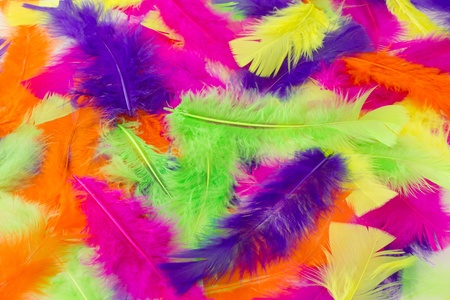 Multicolored feathers as a backgroundの写真素材