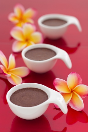 Chocolate mousse desert on red background with frangipani flowersの写真素材