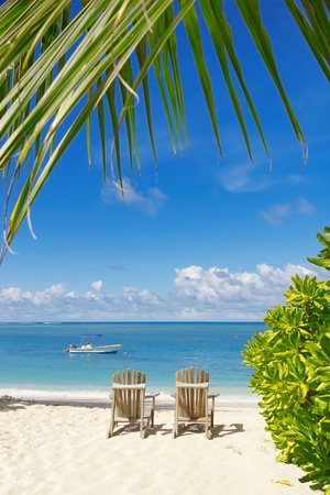 Beach chairs on white sand  with  blue sky backgrounf and palm leafs on foregroundの写真素材